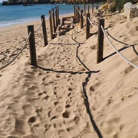 Corcovada Dream