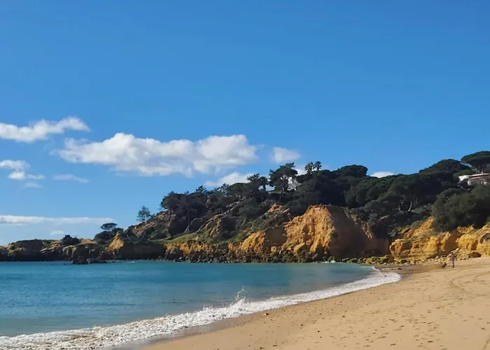 Appartement Corcovada Dream *